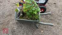 WHEELBARROW PLANTER