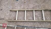 WOODEN LADDER - 2