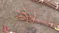 15 PIG TAIL ELECTRIC FENCE STAKES - 3