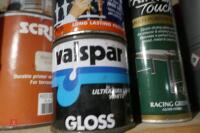 TOP SHELF OF PAINT & VARNISH - 6