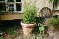 LARGE PLASTIC PLANT POT