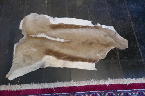 ANIMAL HIDE