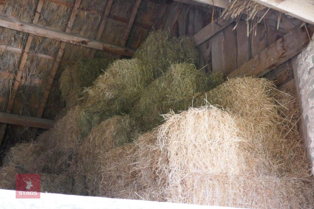 2021 BALES OF CONVENTIONAL BALE HAY