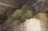 2021 BALES OF CONVENTIONAL BALE HAY - 5