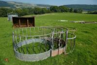 MULTIPLE SHEEP RING FEEDERS (59)