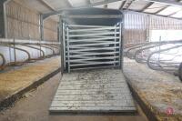 IFOR WILLIAMS DP12OG LIVESTOCK TRAILER - 2