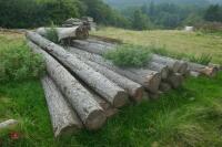 20 X LARCH POLES - 2