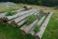 20 X LARCH POLES - 3