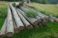 20 X LARCH POLES - 4