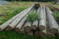 20 X LARCH POLES - 6