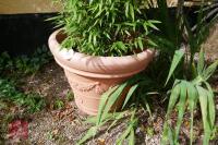 LARGE PLASTIC PLANT POT - 6