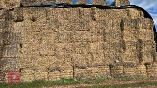 20 QUADRANT 5300 BALES OF BARLEY STRAW