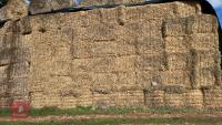 20 QUADRANT 5300 BALES OF BARLEY STRAW