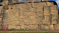 20 QUADRANT 5300 BALES OF BARLEY STRAW