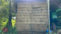 20 QUADRANT 5300 BALES OF WHEAT STRAW - 2