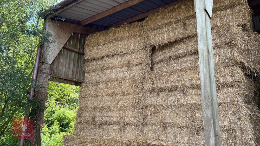 20 QUADRANT 5300 BALES OF WHEAT STRAW