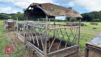 7' SQUARE GALVANISED CATTLE FEEDER - 2