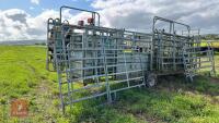 MOBILE CATTLE HANDLING SYSTEM - 6