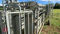 MOBILE CATTLE HANDLING SYSTEM - 19