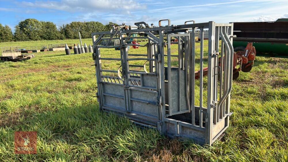 GALVANISED SQUEEZE CATTLE CRUSH