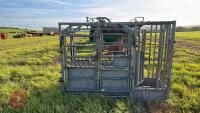 GALVANISED SQUEEZE CATTLE CRUSH - 2