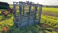 GALVANISED SQUEEZE CATTLE CRUSH - 3