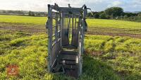 GALVANISED SQUEEZE CATTLE CRUSH - 4