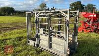 GALVANISED SQUEEZE CATTLE CRUSH - 5