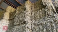 20 QUADRANT 5300 BALES OF WHEAT STRAW - 3