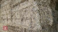 20 QUADRANT 5300 BALES OF WHEAT STRAW - 3