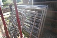 8 CATTLE RACE SECTIONS & 2 GATES - 6