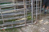 8 CATTLE RACE SECTIONS & 2 GATES - 14