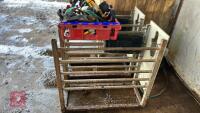 2008 FORSTER TECHNIK AUTO CALF FEEDER - 8