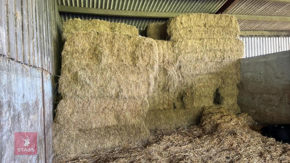 28 SQUARE BALES OF HAY (BIDS PER BALE)