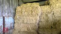 28 SQUARE BALES OF HAY (BIDS PER BALE) - 2