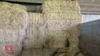 28 SQUARE BALES OF HAY (BIDS PER BALE) - 3