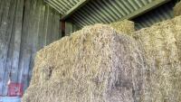 28 SQUARE BALES OF HAY (BIDS PER BALE) - 4