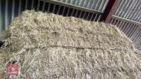 28 SQUARE BALES OF HAY (BIDS PER BALE) - 7