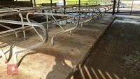 15 PORTABLE COW CUBICLES - 7