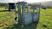 BATEMAN GALVANISED CATTLE CRUSH