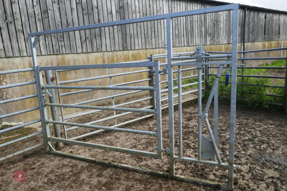 IAE GALVANISED CALVING GATE