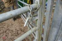 IAE GALVANISED CALVING GATE - 2