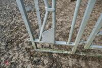 IAE GALVANISED CALVING GATE - 3