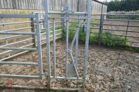 IAE GALVANISED CALVING GATE - 5