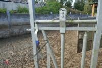 IAE GALVANISED CALVING GATE - 7