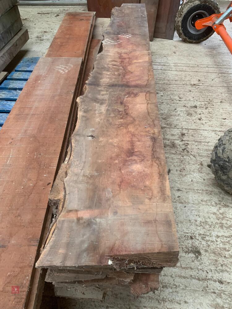 YEW 10 PLANKS