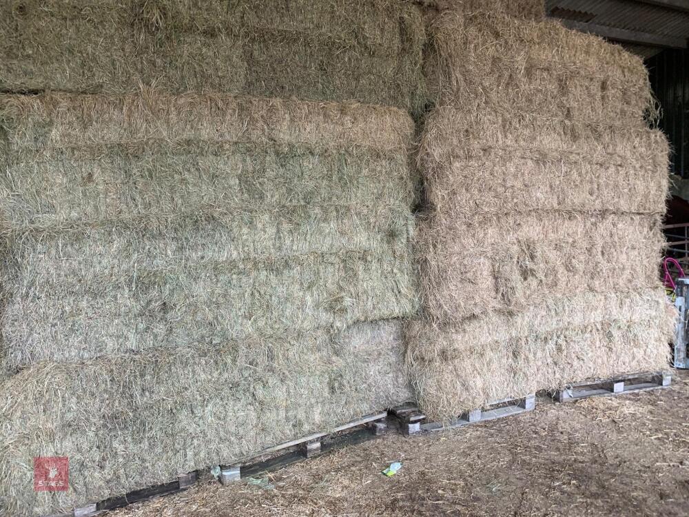 40 BALES 120X70 CERTIFIED ORGANIC HAY