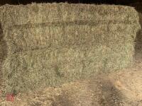 40 BALES 120X70 CERTIFIED ORGANIC HAY - 2