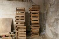 20 WOODEN POTATO CHITTING TRAYS