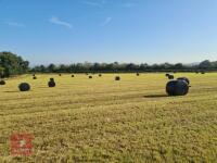 25 ORGANIC ROUND SILAGE BALES - 2